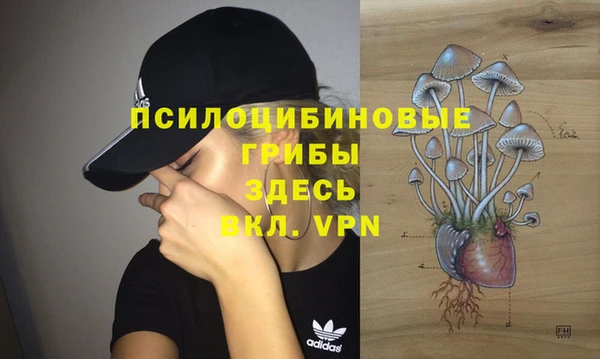 mdpv Алзамай